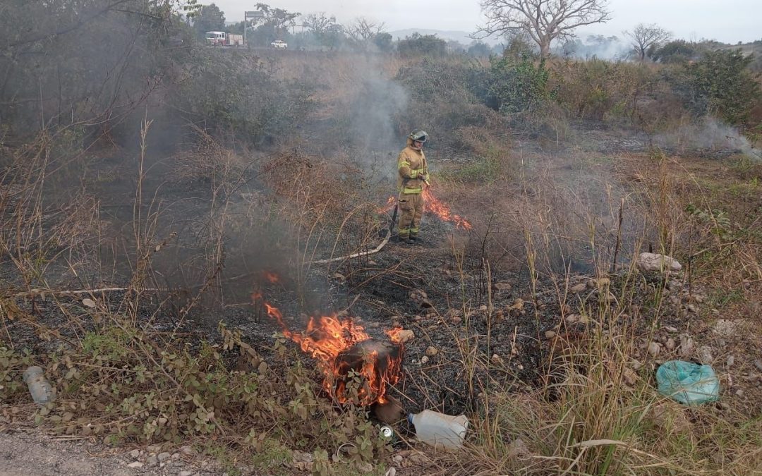 Evitan Bomberos de Nayarit propagación de incendio forestal en Tecuala