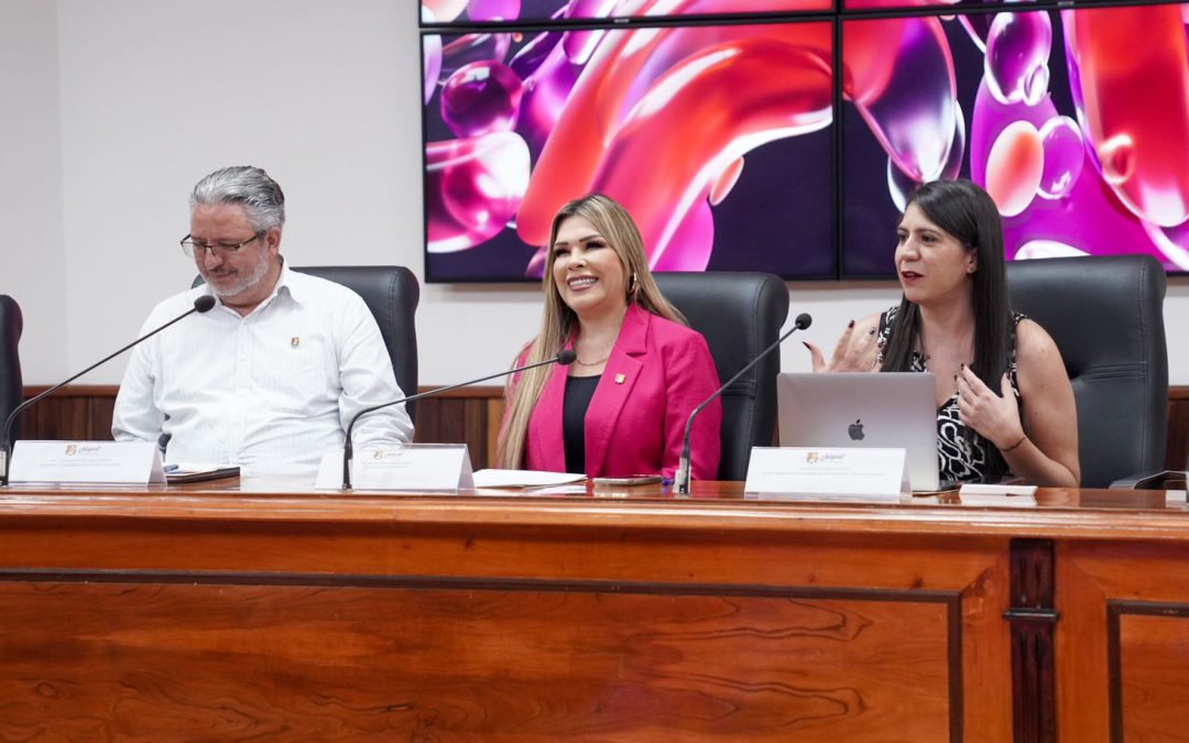 Encabeza secretaria general de Gobierno el taller de capacitación de AMEXID