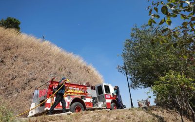 Sofoca Protección Civil de Tepic y Brigadistas incendio en el Cerro de La Cruz