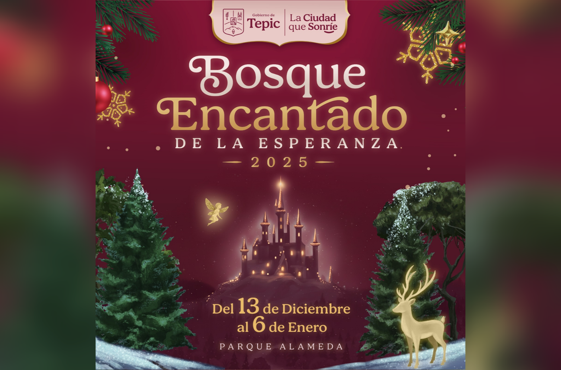 BOSQUE ENCANTADO DE LA ESPERANZA TEPIC 2025