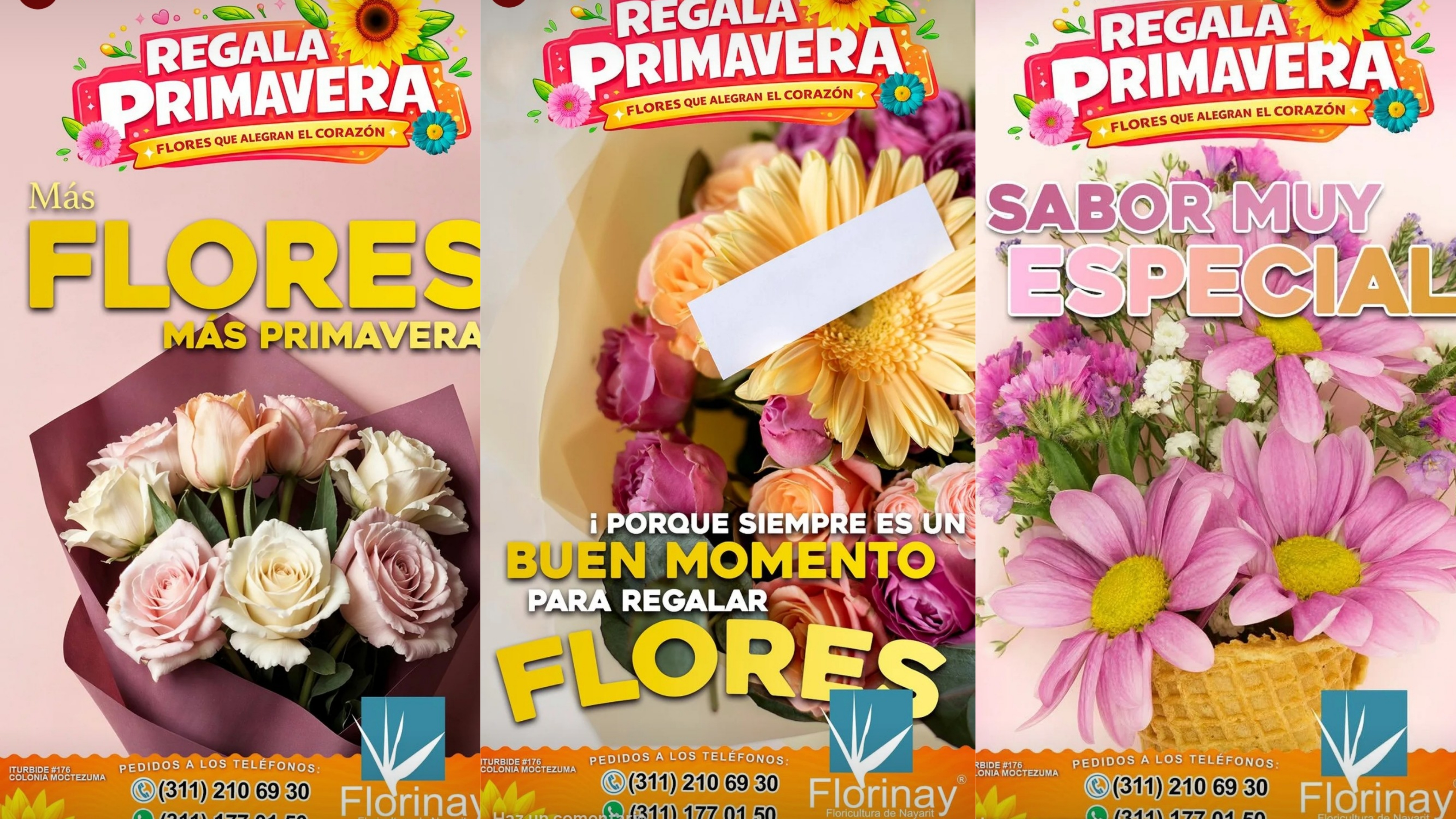 FLORINAY: LA BODEGA DE FLORES QUE FLORECE ESTA PRIMAVERA EN TEPIC